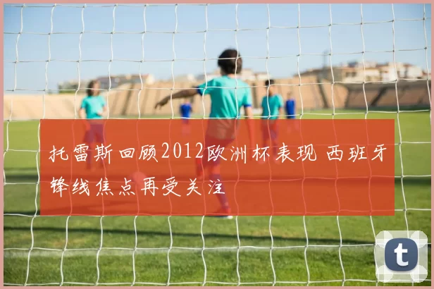 托雷斯回顾2012欧洲杯表现 西班牙锋线焦点再受关注