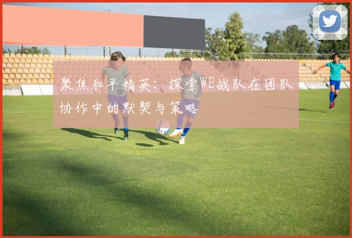聚焦和平精英：探索WE战队在团队协作中的默契与策略