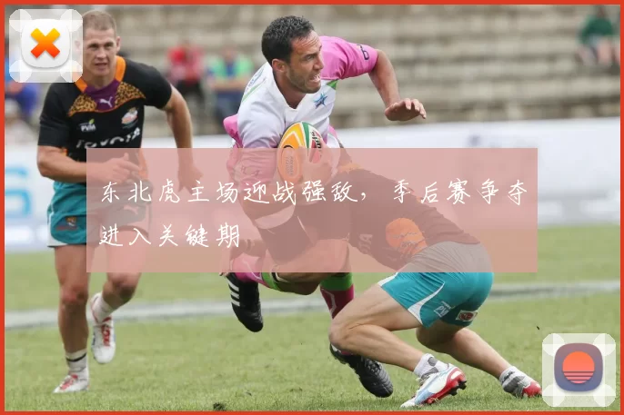 东北虎主场迎战强敌，季后赛争夺进入关键期