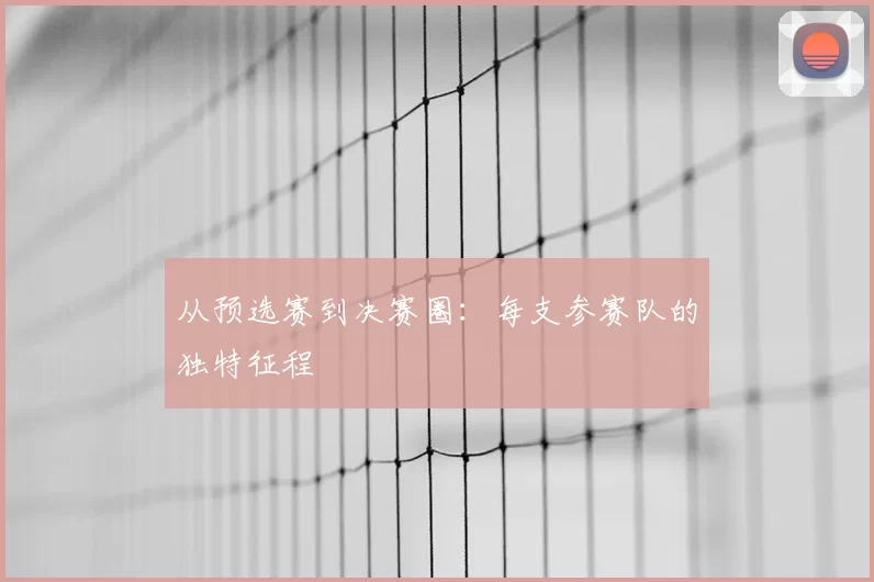 从预选赛到决赛圈:每支参赛队的独特征程