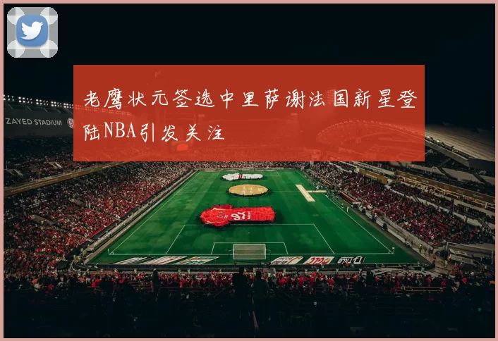 老鹰状元签选中里萨谢法国新星登陆NBA引发关注
