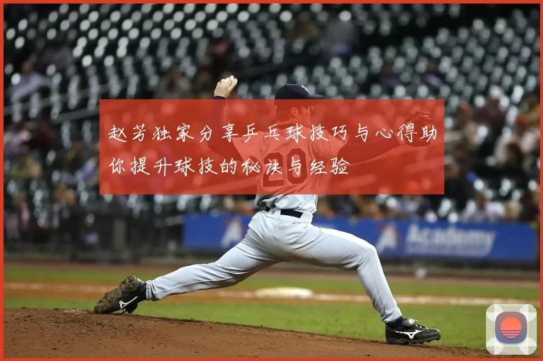赵芳独家分享乒乓球技巧与心得助你提升球技的秘诀与经验