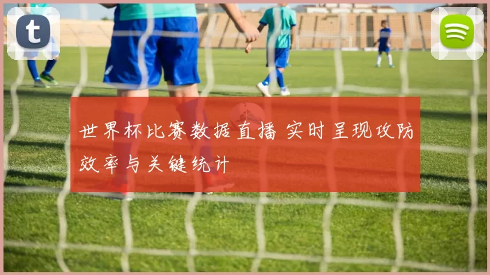 世界杯比赛数据直播 实时呈现攻防效率与关键统计