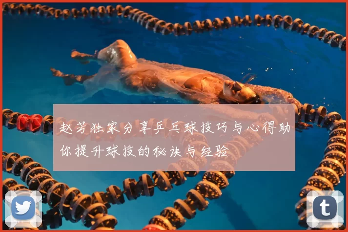 赵芳独家分享乒乓球技巧与心得助你提升球技的秘诀与经验