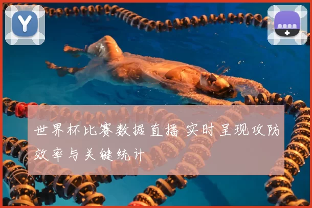 世界杯比赛数据直播 实时呈现攻防效率与关键统计