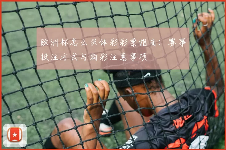 欧洲杯怎么买体彩彩票指南：赛事投注方式与购彩注意事项