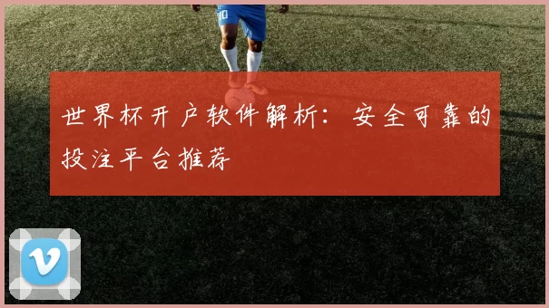世界杯开户软件解析:安全可靠的投注平台推荐