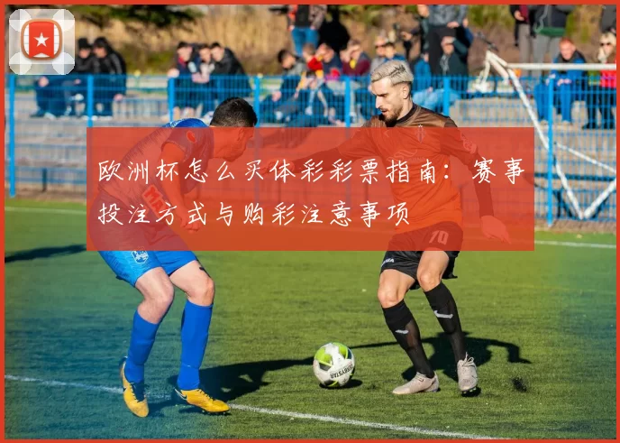 欧洲杯怎么买体彩彩票指南:赛事投注方式与购彩注意事项
