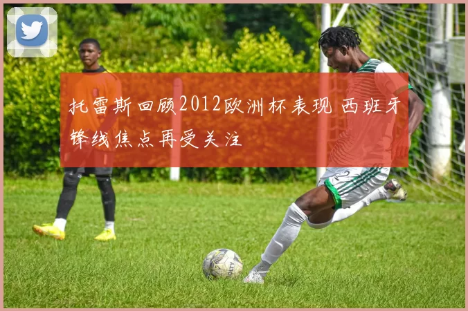 托雷斯回顾2012欧洲杯表现 西班牙锋线焦点再受关注
