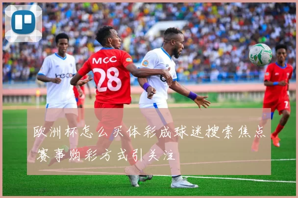 欧洲杯怎么买体彩成球迷搜索焦点 赛事购彩方式引关注